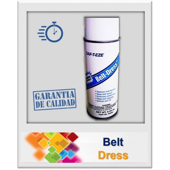 Belt Dress